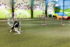 rolled-rubber-canine-pet-flooring